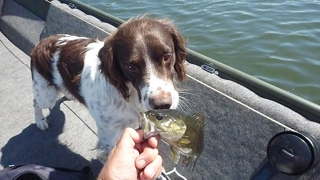 Close Examination.JPG - Loved to check out the fish.